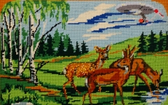 Roe deer, Quadrupedal mammal, Earth, Sol system